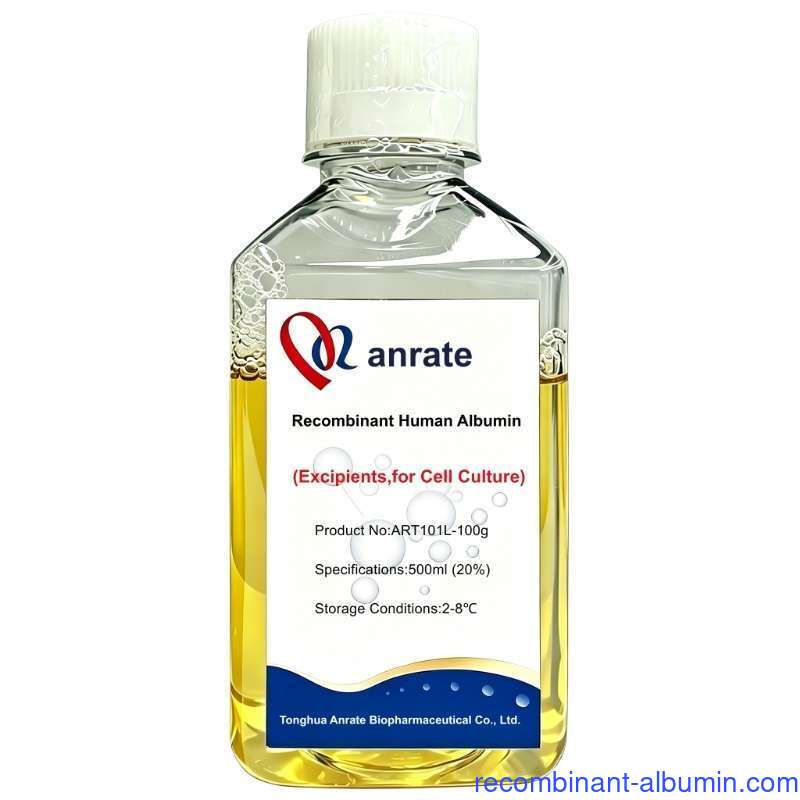 GMP Recombinant Albumin HSA Human Serum Albumin Cell Culture Liquid CAS 70024-90-7